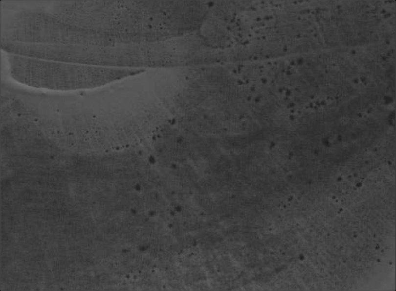 Pitted gray paint texture
